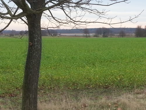 Stocken nach Stangenhagen