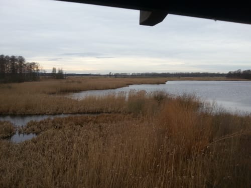 Stocken nach Stangenhagen