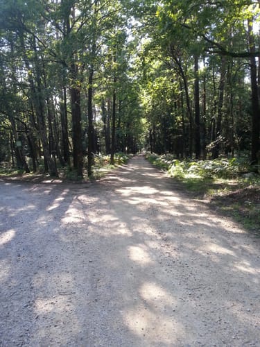 Grüner Strich Rundweg