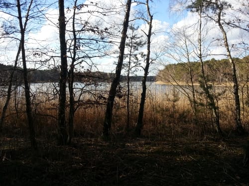 Prieros - Frauensee - Schmöldesee