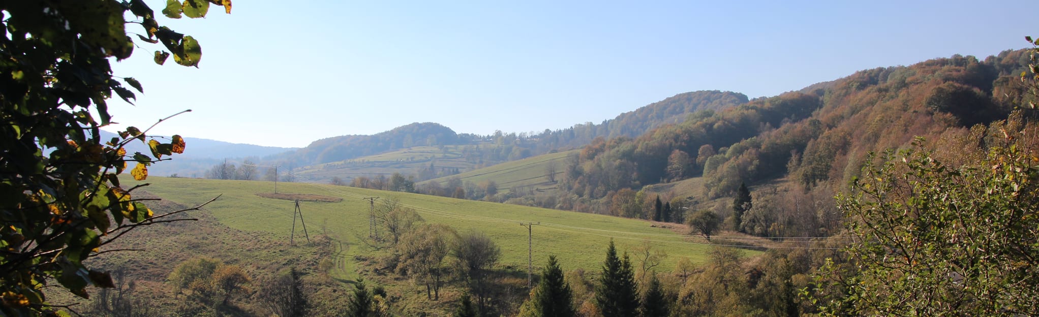 Berehy Górne Dendrologischer und Historischer Pfad 12 Fotos