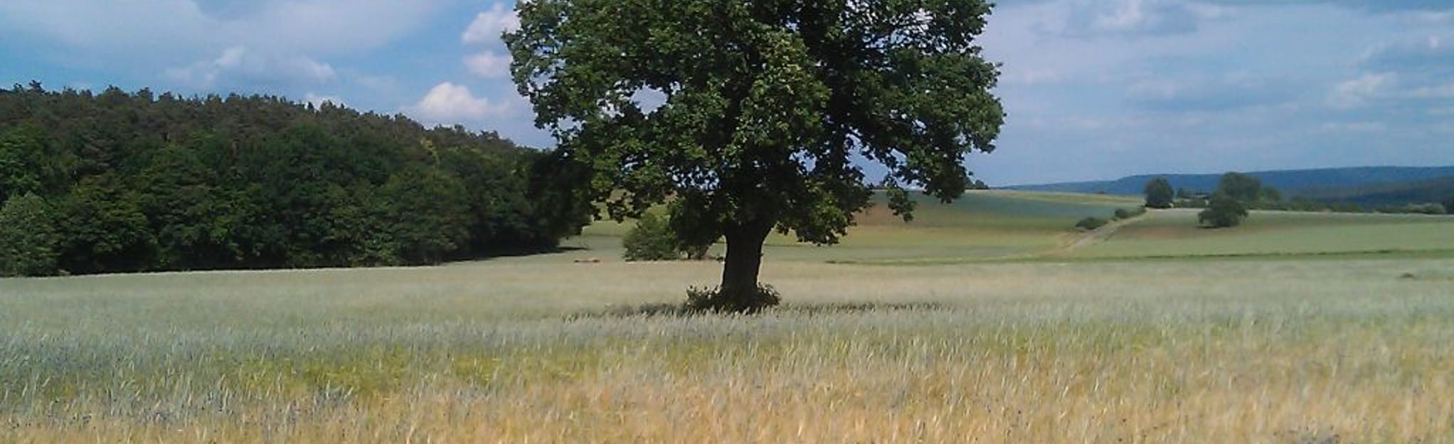 Weiher - Neunkirchen- Willersdorf - Baiersdorf, Bavaria, Germany - 2 ...