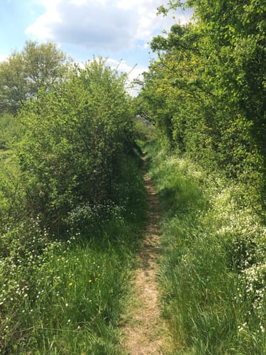Von Herchen nach Stromberg durchs Siegtal
