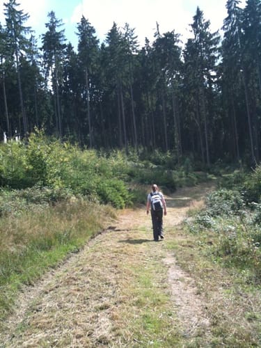 Sollinghöhen (HS 1)