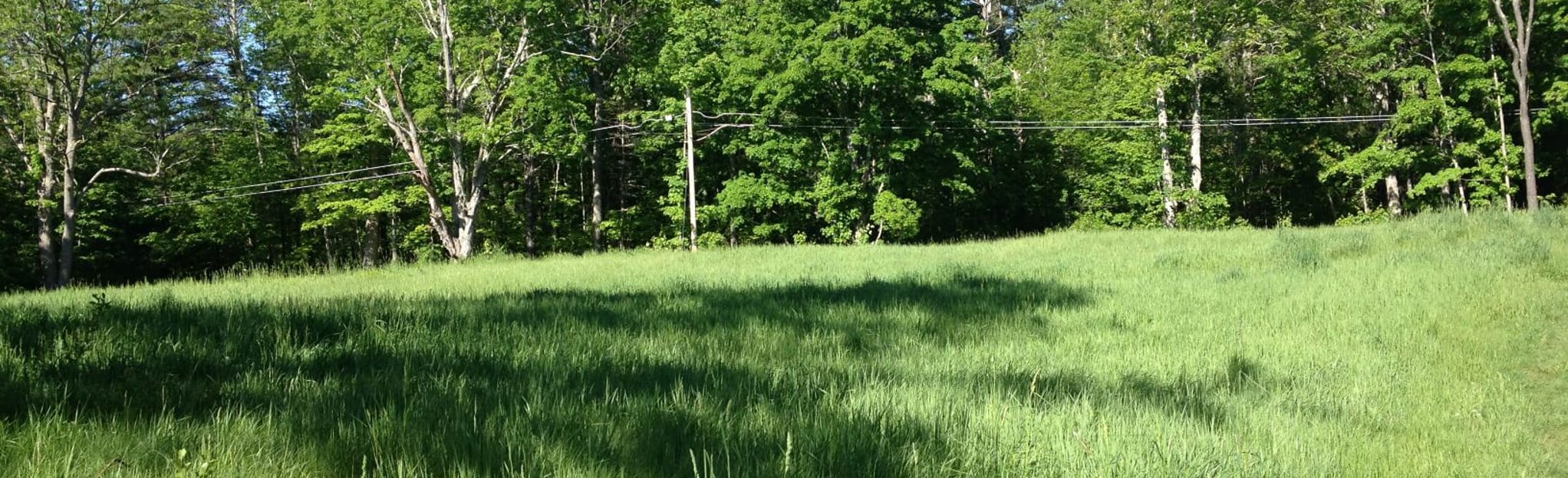 Dogwood Trail, Oak Trail, and Birch Trail Loop Map, Guide New