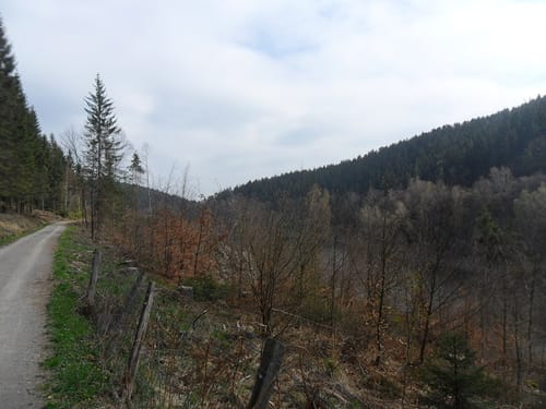 Um die Kalltalsperre