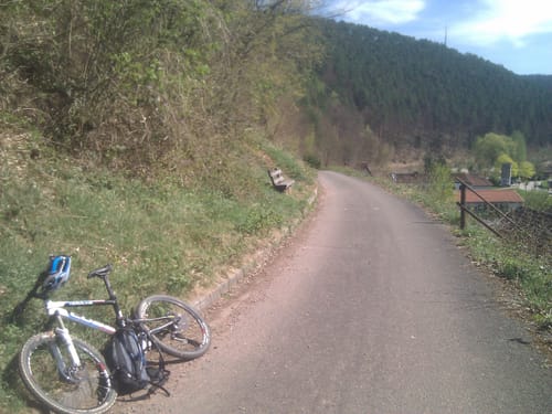 Pfaelzer Wald