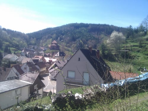 Pfaelzer Wald