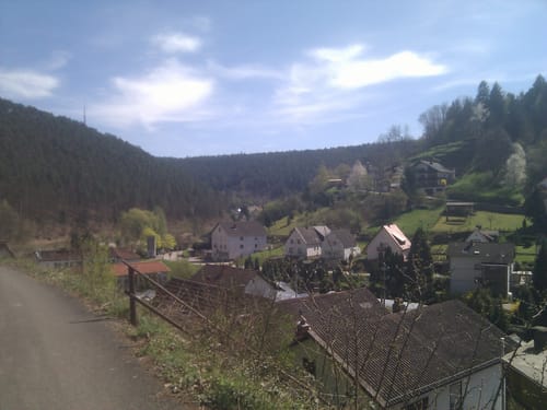 Pfaelzer Wald
