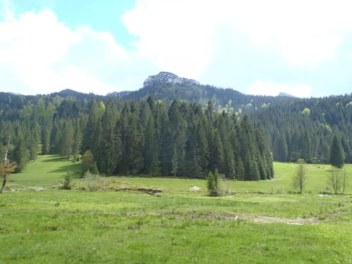 MTB-Trauchberg