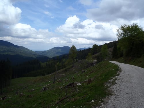 MTB-Trauchberg