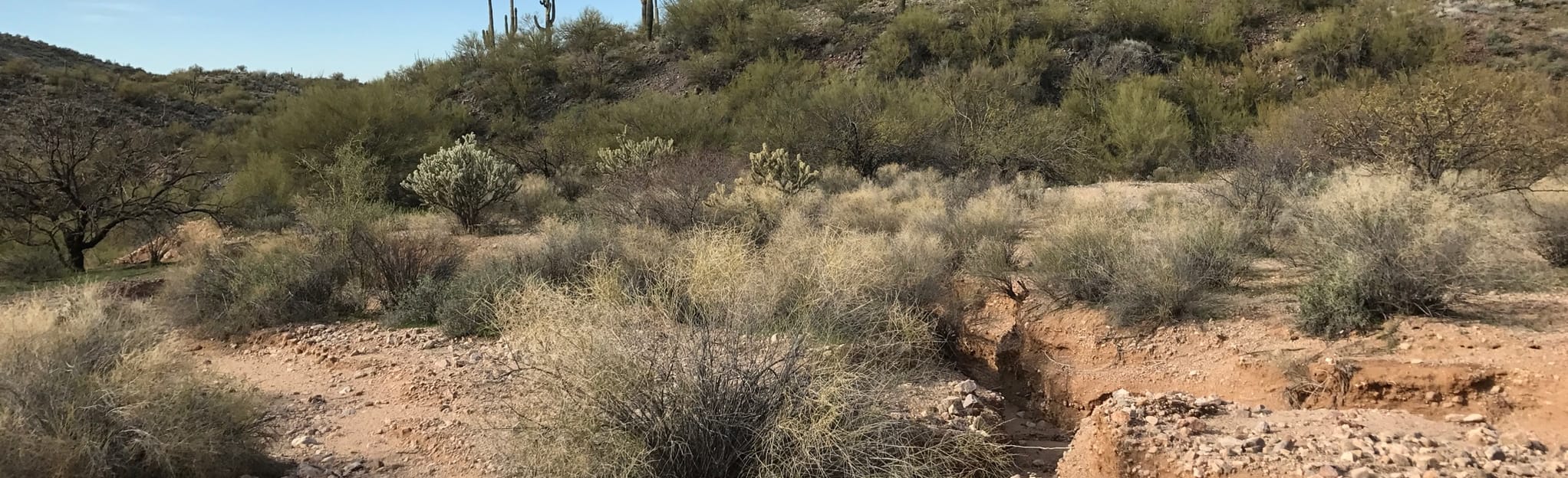 Wickenburg Rodeo Grounds Mine Trail, Arizona 33 Reviews, Map AllTrails
