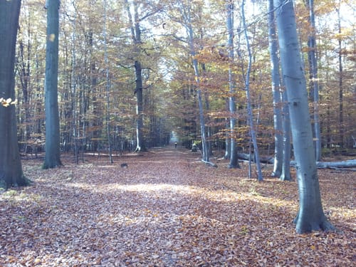 Grüngürtelradrundweg