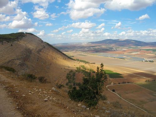 Best Hikes and Trails in Gilboa Forest | AllTrails