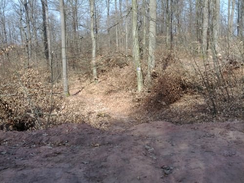 MTB Tour 4: Hochspeyer Premium Bike Trail Tour