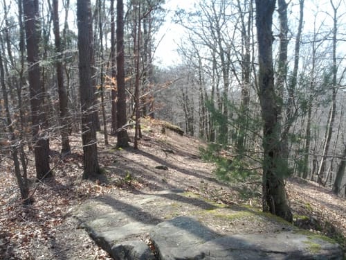 MTB Tour 4: Hochspeyer Premium Bike Trail Tour