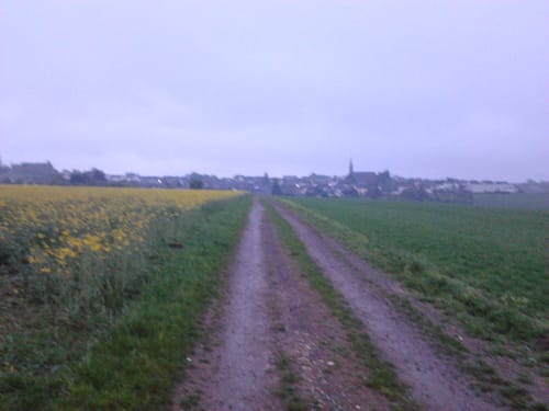 Sabershausen Rundweg entlang des Mühlbachs