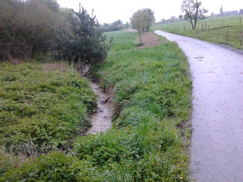 Sabershausen Rundweg entlang des Mühlbachs