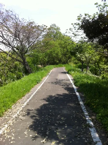 九十九川 - hikes and trails to get you there | AllTrails