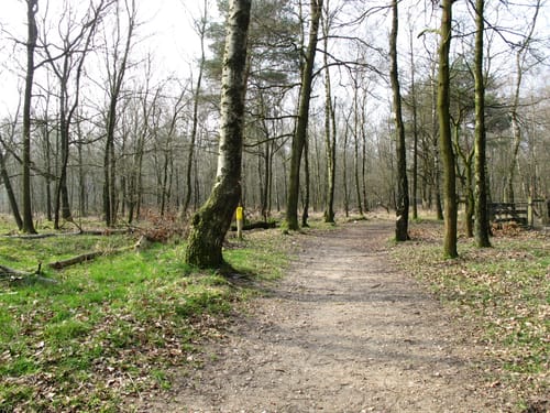Venlo - Venloër Heide - Groote Heide