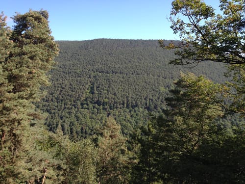 Blättersberg Runde