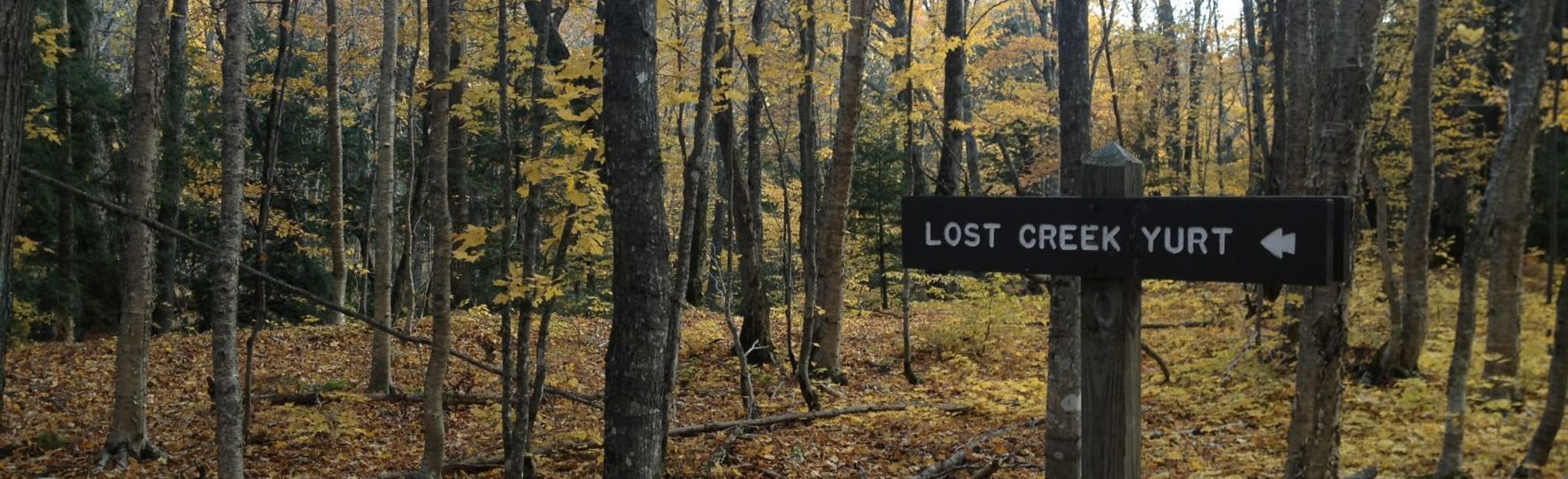 Lost Lake Trail 40 fotos Michigan AllTrails