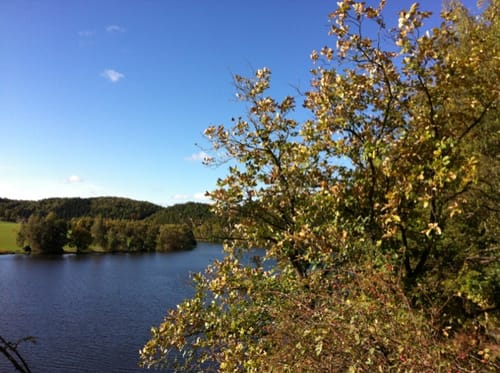 Talsperre Kriebstein