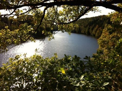 Talsperre Kriebstein
