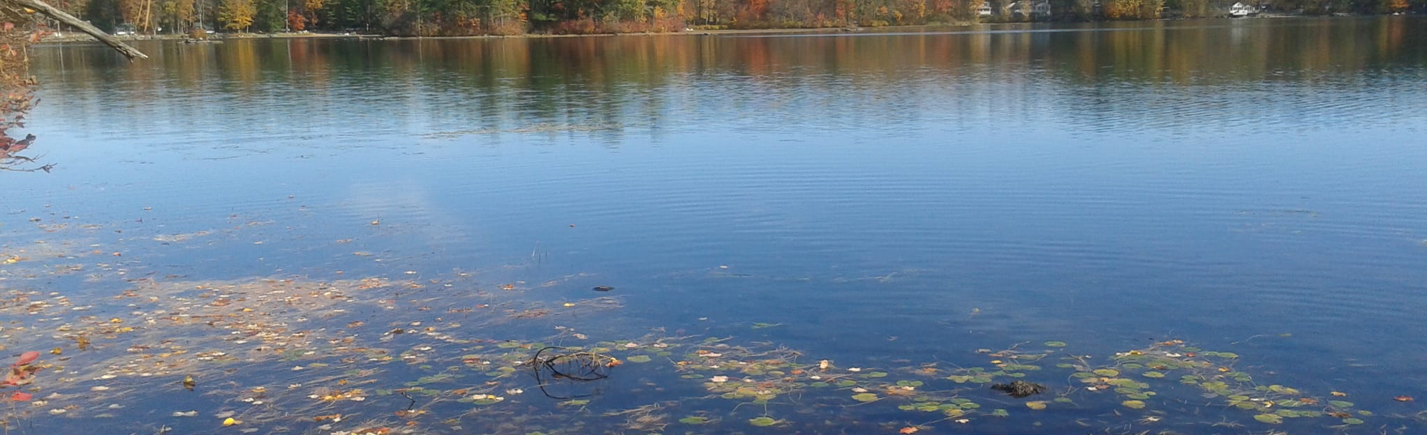 Dearborn Forest Loop via Onway Lake 159 Reviews, Map New Hampshire