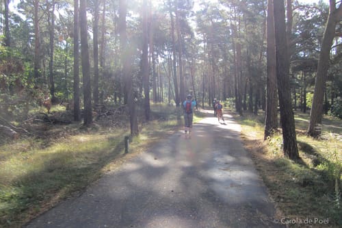 Fläming Skate Rundkurs 3