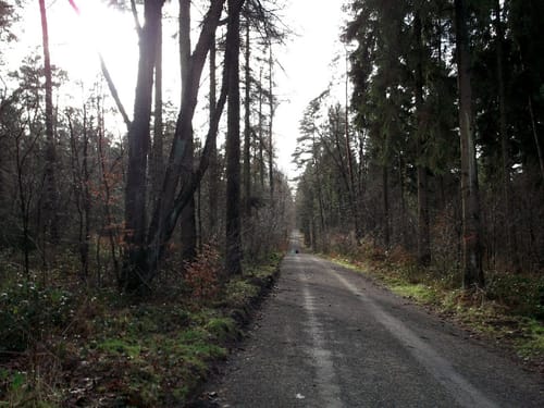 Grote Rivierenpad (E8) Etappe 15: Kranenburg – Kleve