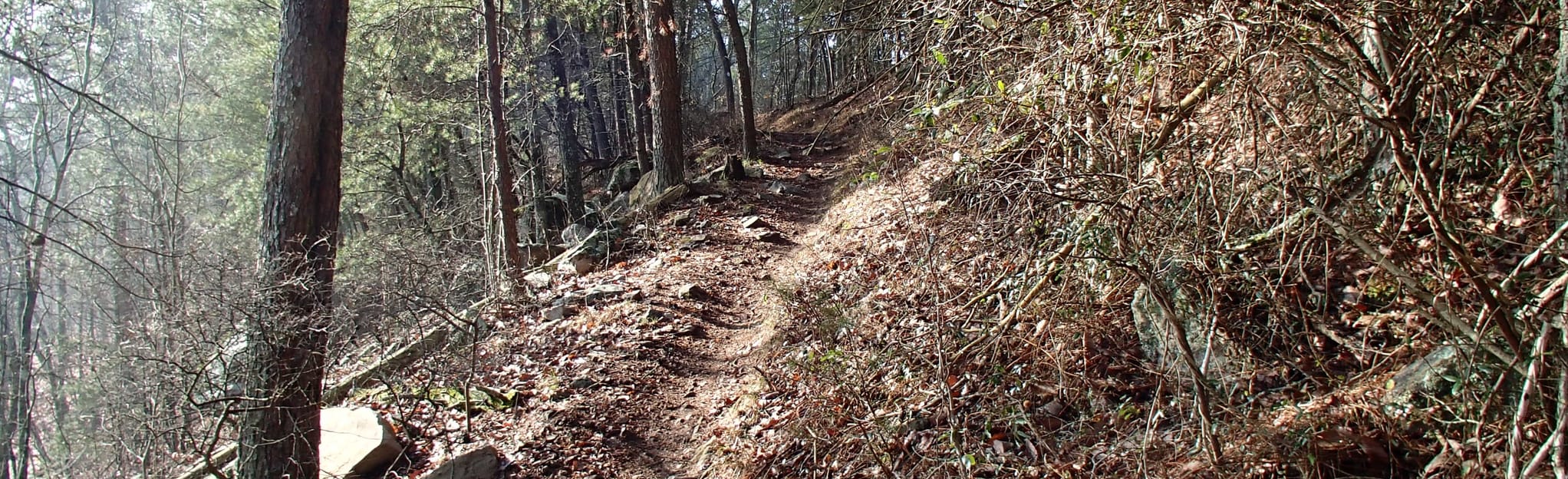 Pinhoti Trail to Horn Mountain Map, Guide AllTrails