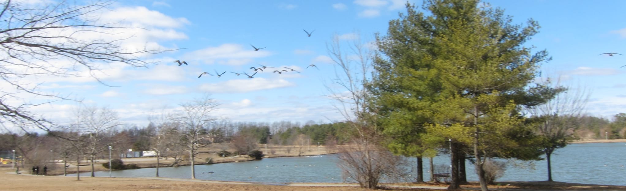 Kennedy Park Loop 97 Reviews, Map New Jersey AllTrails