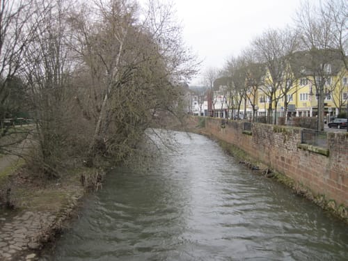 Lieserpfad Etappe 3: Manderscheid - Wittlich