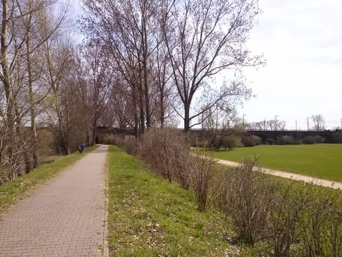 Mainz - Falkenberg - Massenheim