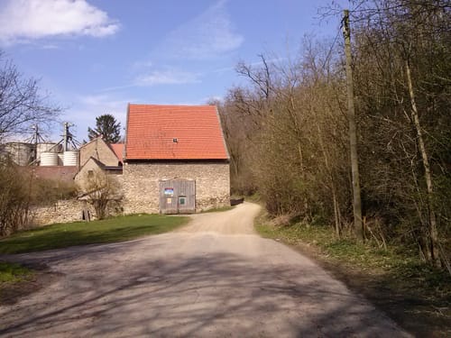 Mainz - Falkenberg - Massenheim