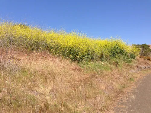 Best 10 Hikes and Trails in Crystal - EyJidWNrZXQiOiJhc3NldHMuYWxsdHJhaWxzLmNvbSIsImtleSI6InVwbG9hZHMvcGhvdG8vaW1hZ2UvMTg1NjAzNzcvM2UzMWFiNmVhZjc4M2RlZWFkMDM5NGI3MmMzYzhiY2QuanBnIiwiZWRpdHMiOnsidG9Gb3JtYXQiOiJ3ZWJwIiwicmVzaXplIjp7IndpZHRoIjo1MDAsImhlaWdodCI6NTAwLCJmaXQiOiJpbnNpZGUifSwicm90YXRlIjpudWxsLCJqcGVnIjp7InRyZWxsaXNRdWFudGlzYXRpb24iOnRydWUsIm92ZXJzaG9vdERlcmluZ2luZyI6dHJ1ZSwib3B0aW1pc2VTY2FucyI6dHJ1ZSwicXVhbnRpc2F0aW9uVGFibGUiOjN9fX0=