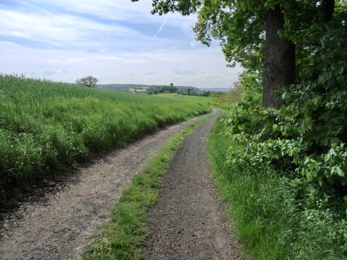 Steigerwald Panoramaweg Etappe 9: Eltmann - Bamberg