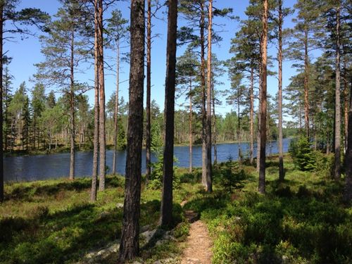 2023 Best Trails, Walks, and Paths in Målerås | AllTrails