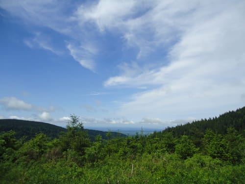 Durch das Bühlertal und um den Mummelsee