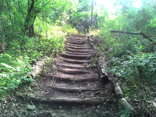 10 Best Trail Running Trails in Dallas | AllTrails