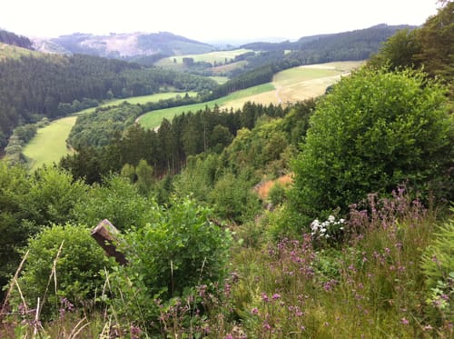 Schieferpfad (kurz)