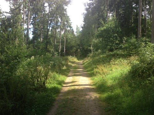 Rundwanderweg "Mit 100 um Bad Münstereifel"