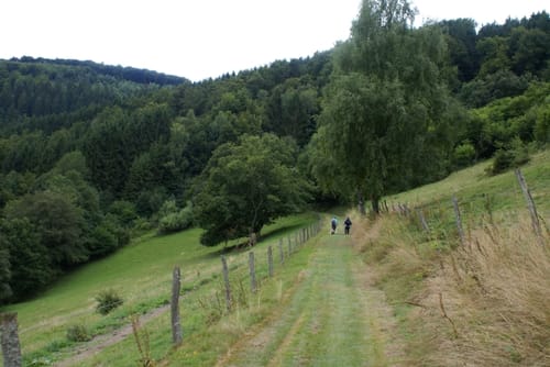 Eifelsteig Etappe 3: Monschau - Einruhr