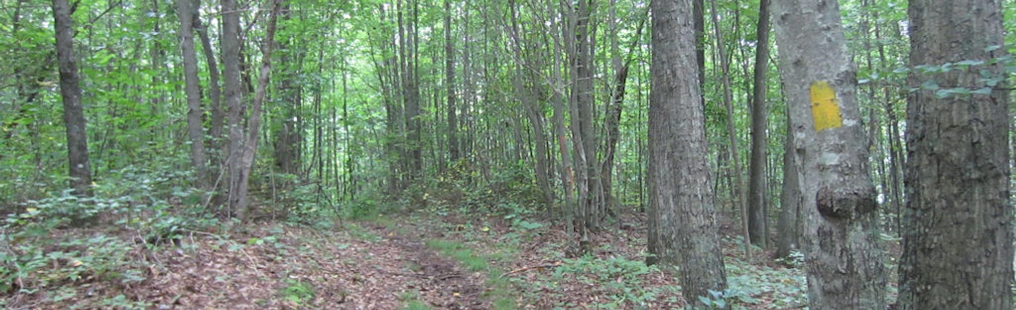 Rye Patch Trail Map, Guide Tennessee AllTrails
