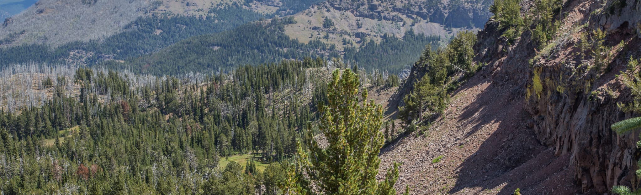 Onion Creek Loop Trail 266 foto's Oregon Wandelen AllTrails