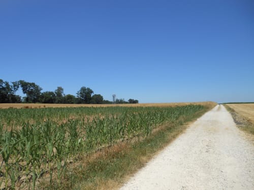 Donau-Radweg (D-Route 6) Alternativetappe  3: Riedlingen nach Ulm