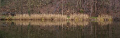 Spaziergang Ofden