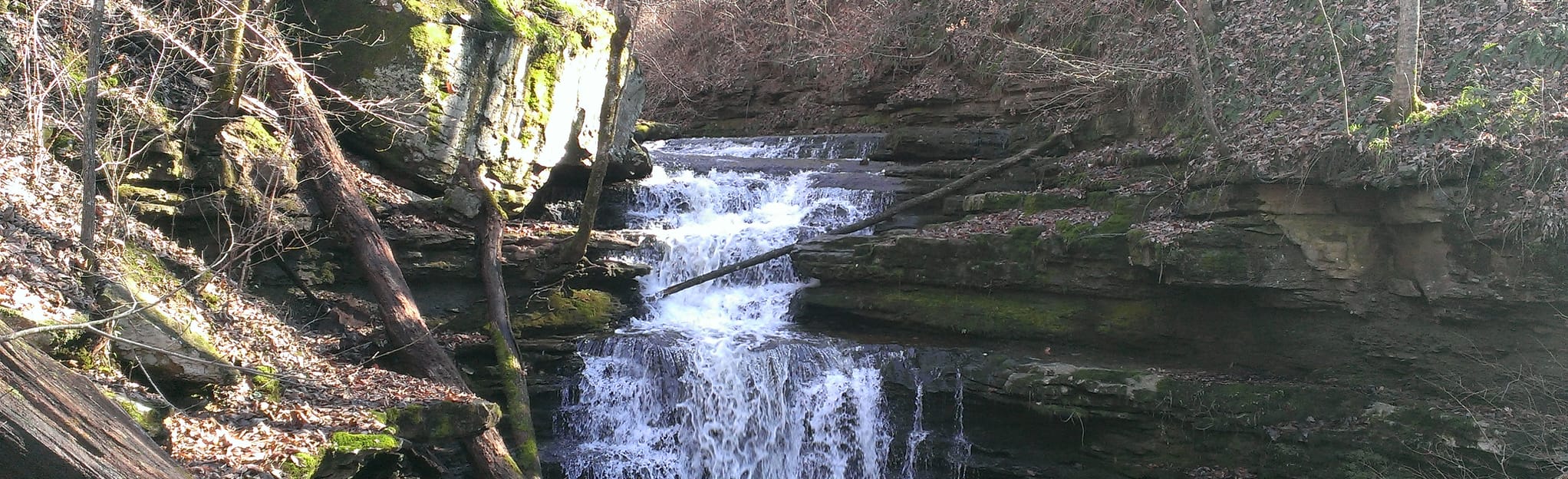 Point Rock Trail to Jim Lynn Overlook, Alabama - 269 Reviews, Map ...