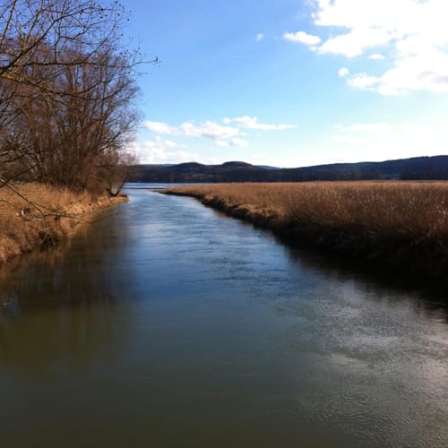 Bodensee-Rundwanderweg Etappe 10: Stein am Rhein - Radolfzell